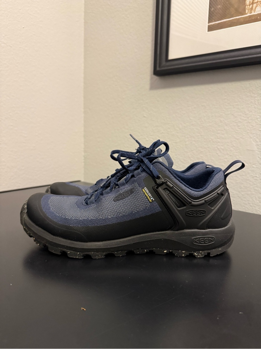Keen Citizen Evo Waterproof Shoes